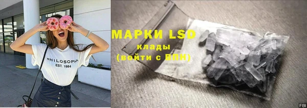 стаф Аркадак