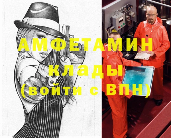 PSILOCYBIN Рославль