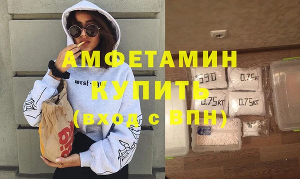 стаф Аркадак