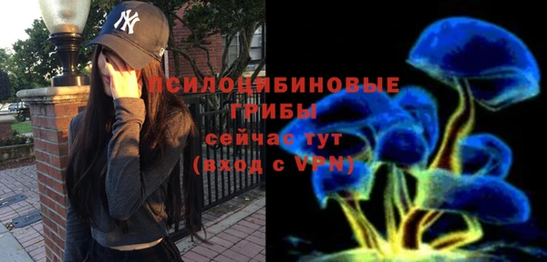 стаф Аркадак