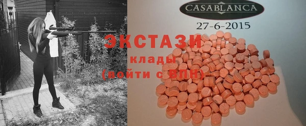стаф Аркадак