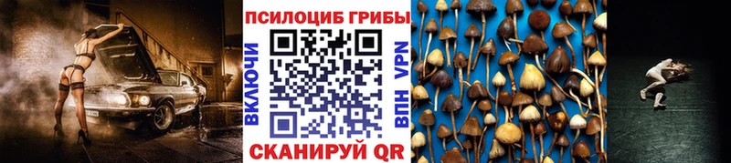 Псилоцибиновые грибы Magic Shrooms  купить наркоту  Колпашево 